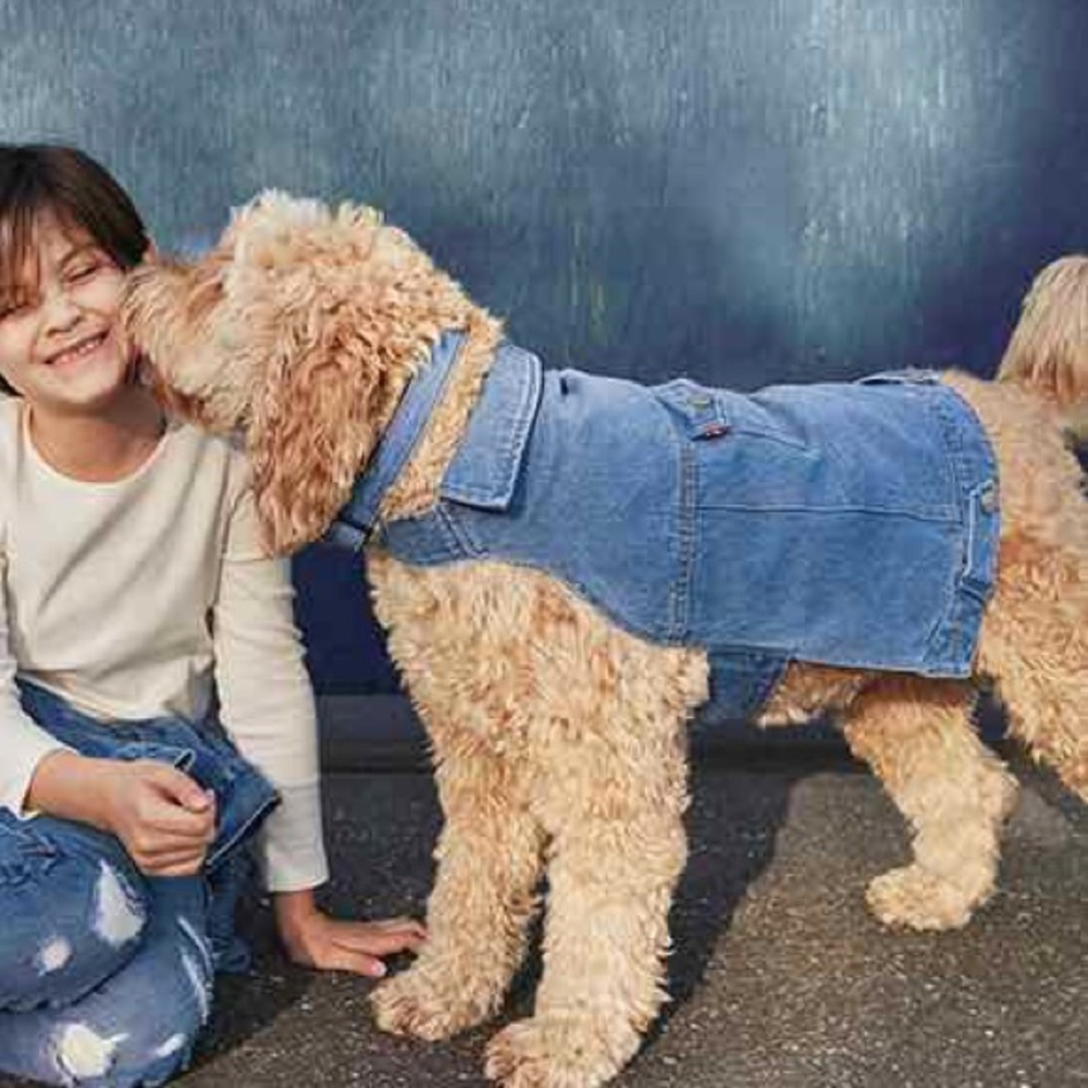 Levi x Target Denim Pet Trucker Jacket Large
